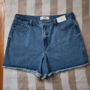 Hollister 90s Denim Shorts